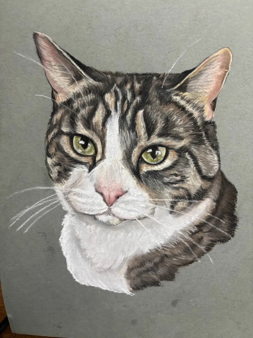 Custom portrait of a green-eyed tabby cat