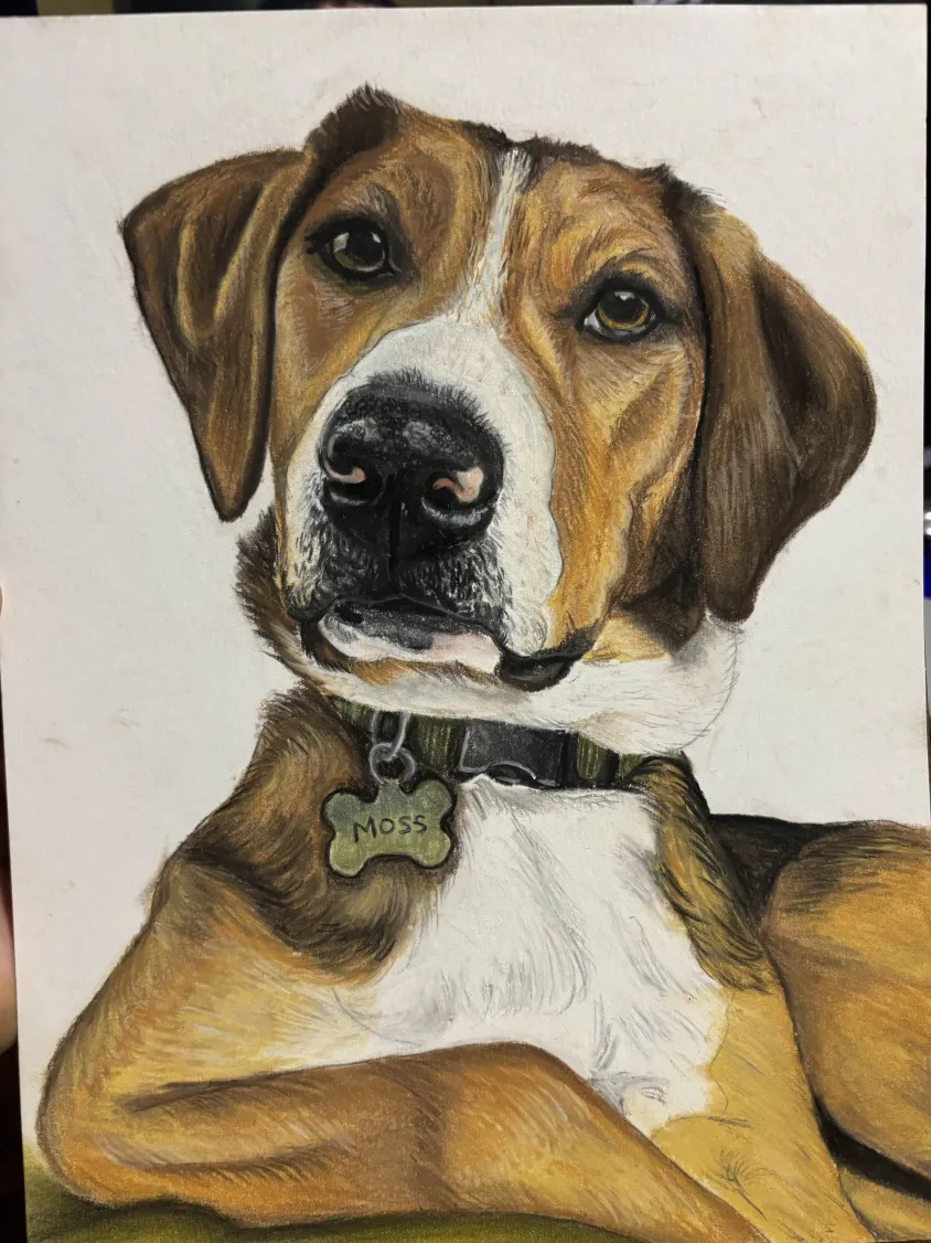 Custom dog portrait of Moss